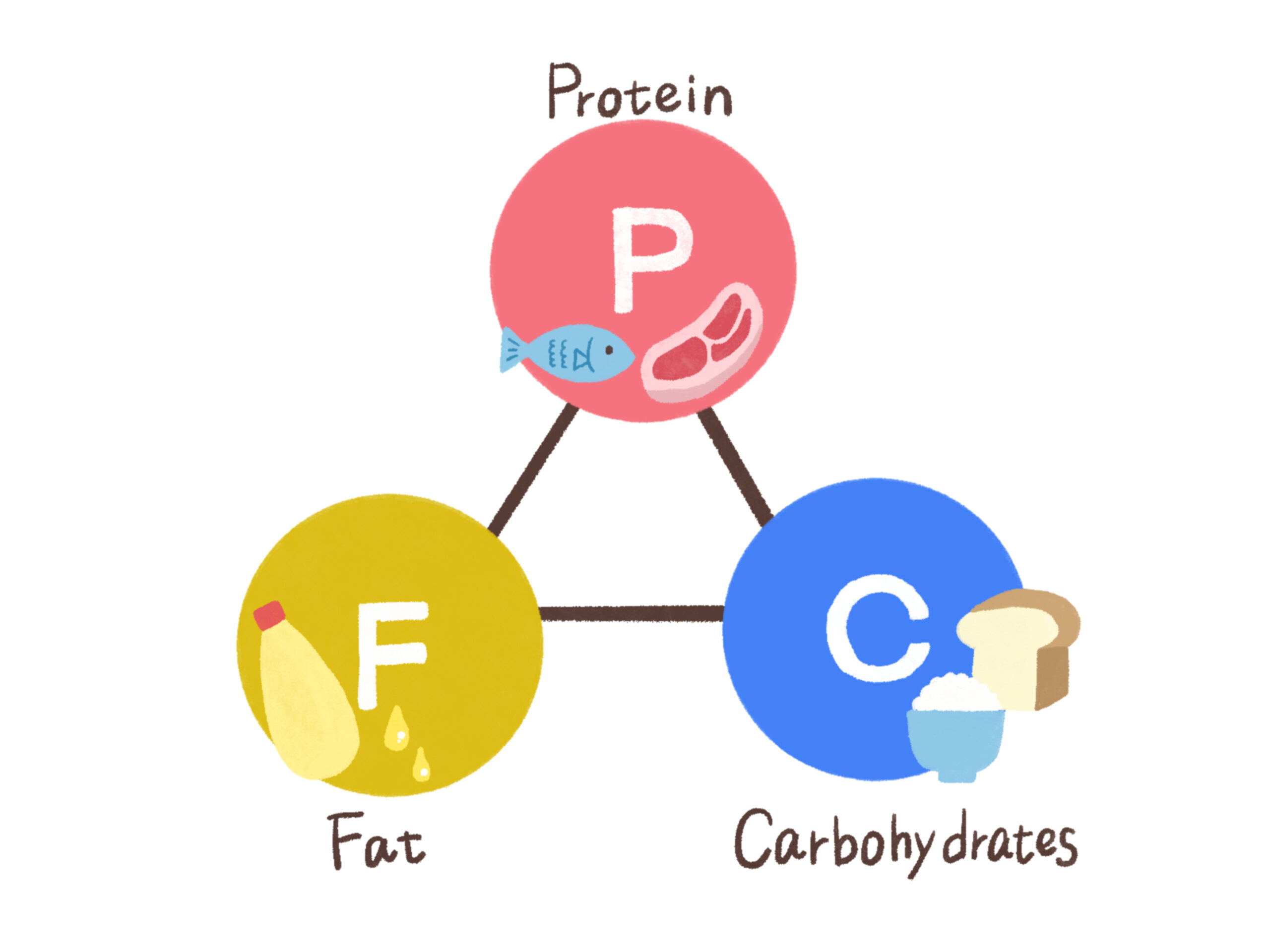 PFCバランス食事イメージ